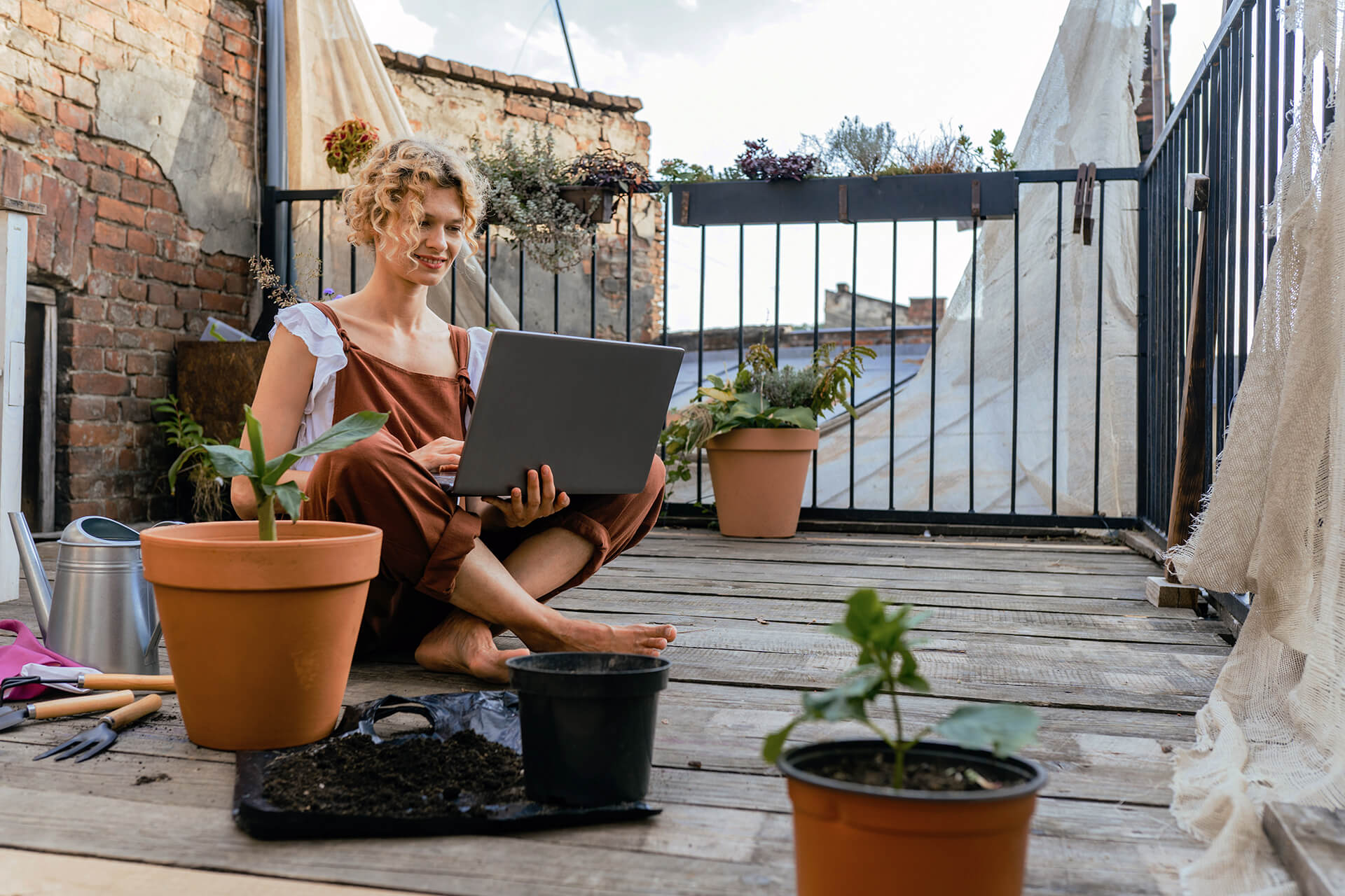 Nutzer Laptop Frau 1 Nutzer Laptop Frau 1